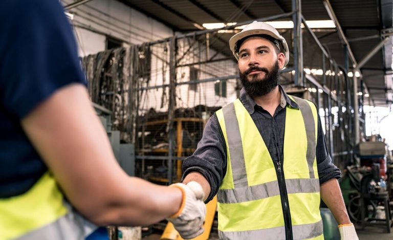 Manpower Supply – Inspection Technical Solution